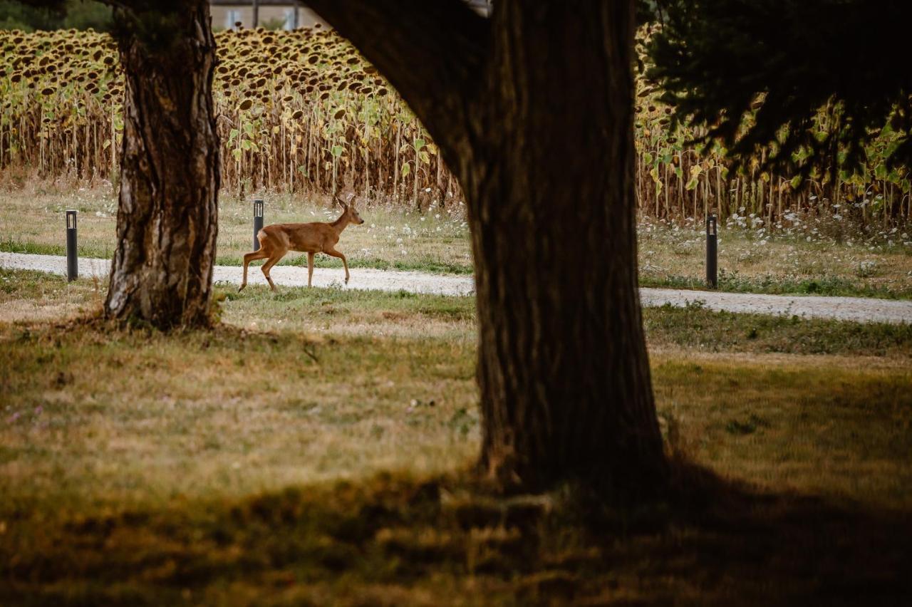 Domaine De Boulouch Ξενοδοχείο Lectoure Εξωτερικό φωτογραφία