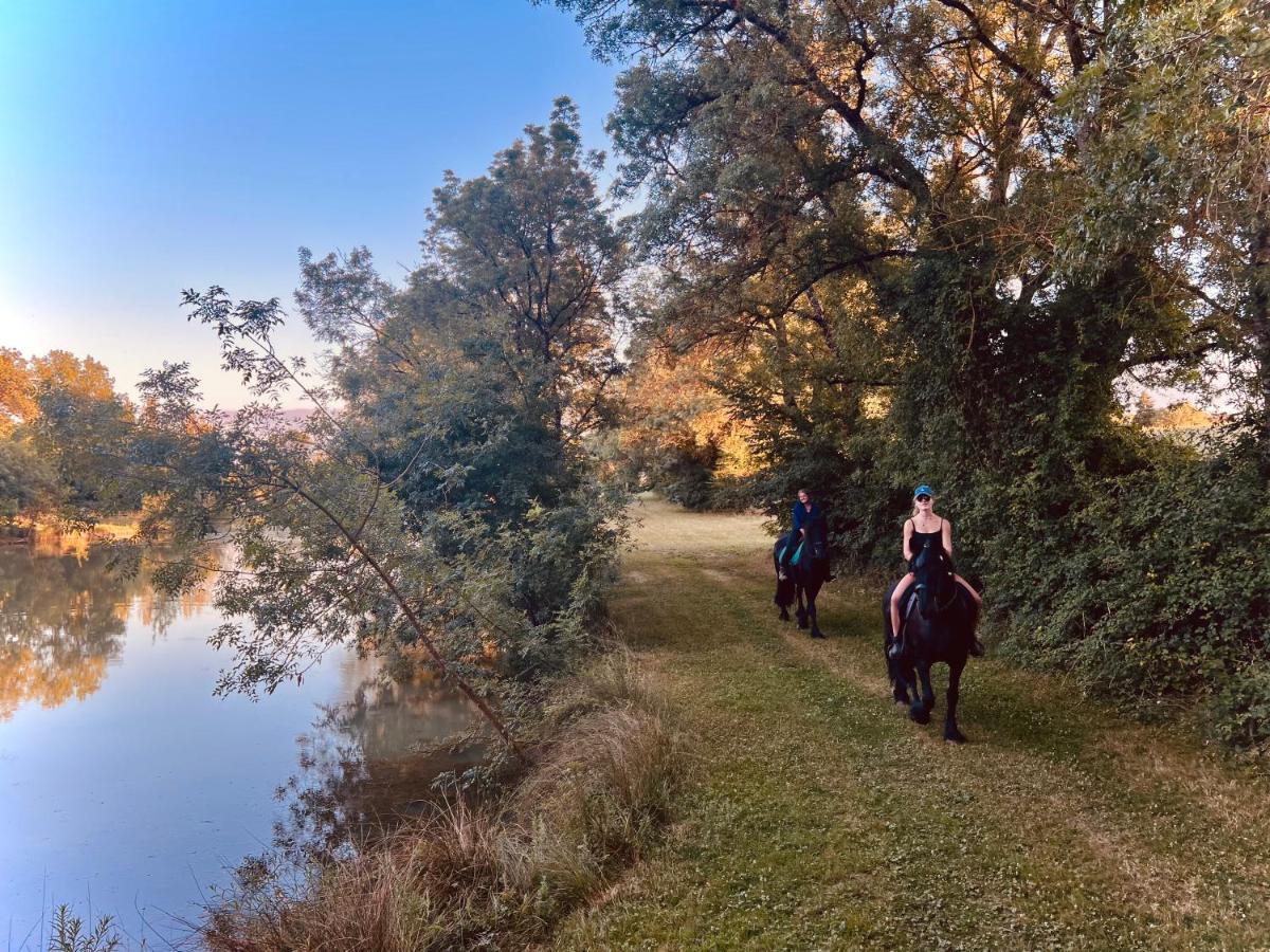 Domaine De Boulouch Ξενοδοχείο Lectoure Εξωτερικό φωτογραφία