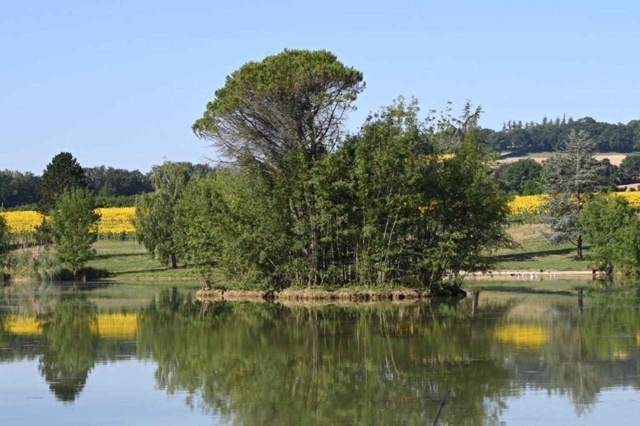 Domaine De Boulouch Ξενοδοχείο Lectoure Εξωτερικό φωτογραφία